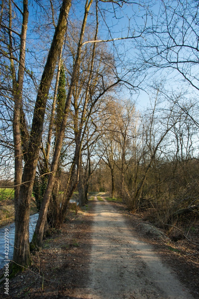 dirt road in the lowland countryside in northern Italy dirt road in the lowland countryside in northern Italy
