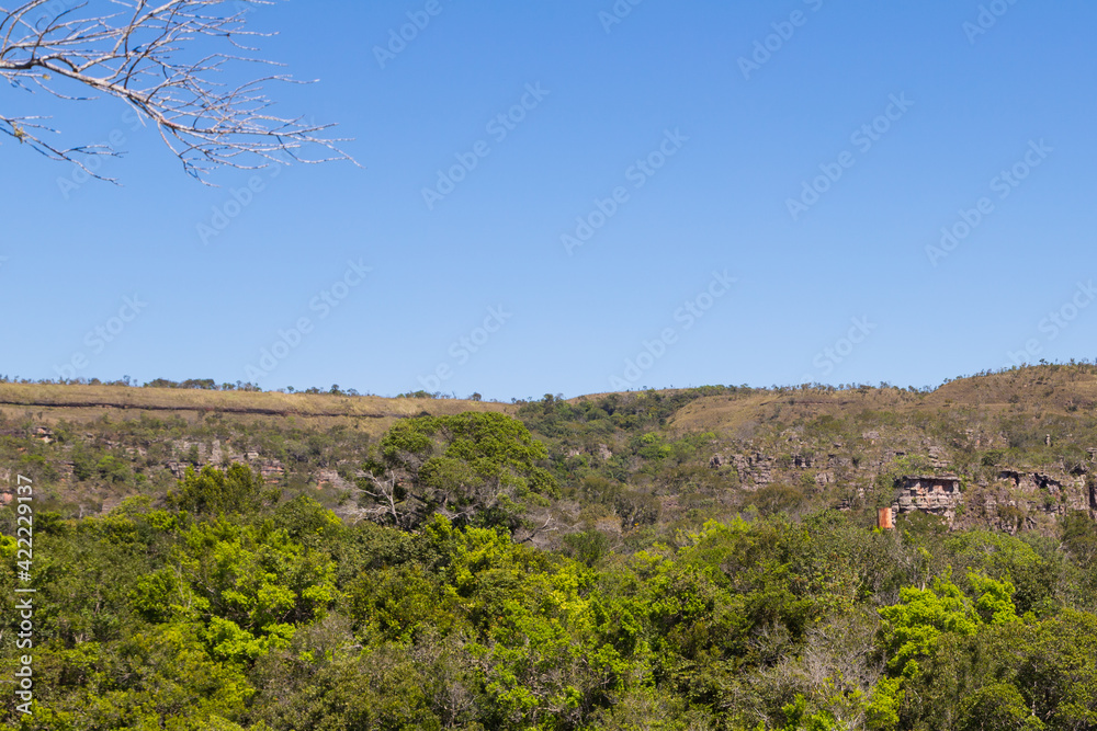 Landscape of the Chapada dos Guimaraes Nationalpark in Mato Grosso, Brazil