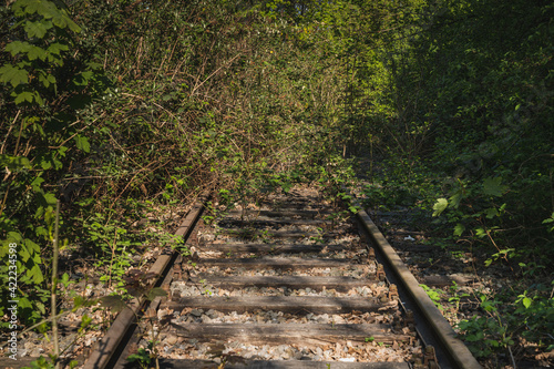 Billede på lærred Closed down railway line with overgrown rails in Bottrop, North Rhine-Westphalia