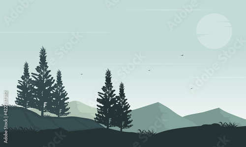 Misty morning with incredible views of the mountains and trees. Vector illustration