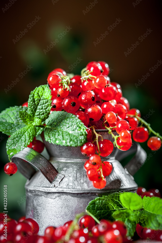 Fresh red currants in a Cup on a dark rustic wooden table. Background with space for copying. Selective focus. Fresh red currants in a Cup on a dark rustic wooden table. Background with space for copying. Selective focus.