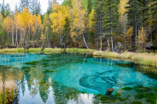Scenic view of calm waters of turquoise blue geyser lake in the yellow and green forest with reflection of trees. Altai autumn landscape  Russia