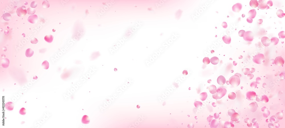 Rose Petals Falling Confetti. Blooming Cosmetics Ad Elegant Flower