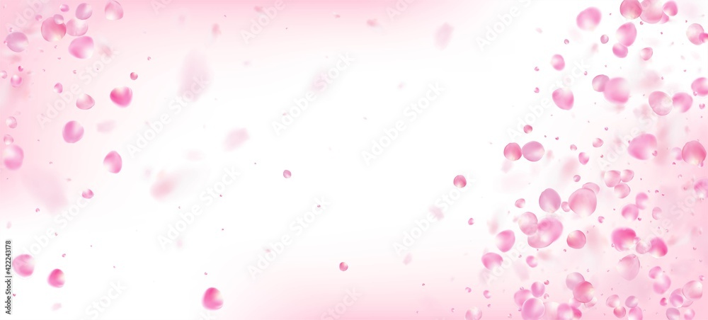 Rose Petals Falling Confetti. Blooming Cosmetics Ad Elegant Flower Rose Petals Falling Confetti. Blooming Cosmetics Ad Elegant Flower