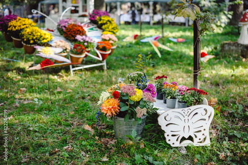 Beautiful decor with autumn flowers in the garden, park. Colored chrysanthemums in pots on white bench. Film noise