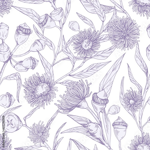 Seamless floral pattern with blossomed flowers of eucalyptus on white background. Endless botanical texture for printing. Hand-drawn vector illustration of backdrop in vintage style