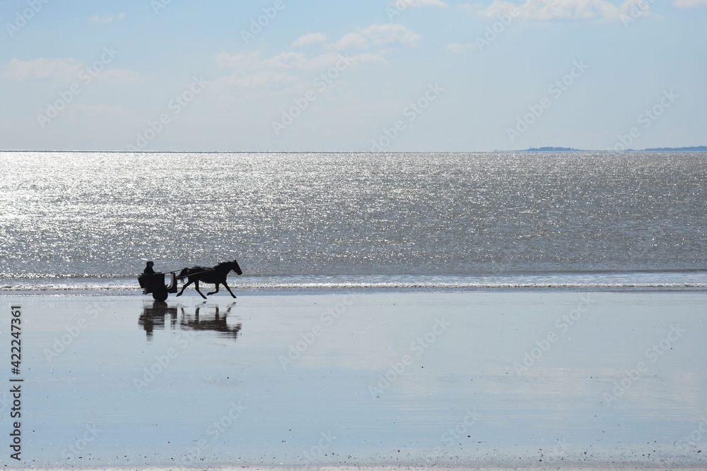 Sleigh on the beach (carriole sur la plage. L'île d'Yeu à l'horrizon). France Sleigh on the beach (carriole sur la plage. L'île d'Yeu à l'horrizon). France