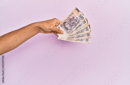 Hispanic hand holding 500 mexican pesos banknotes over isolated pink background.