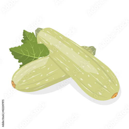 Organic natural healthy vegetables. Natural product. Diet menu. Vector illustration.