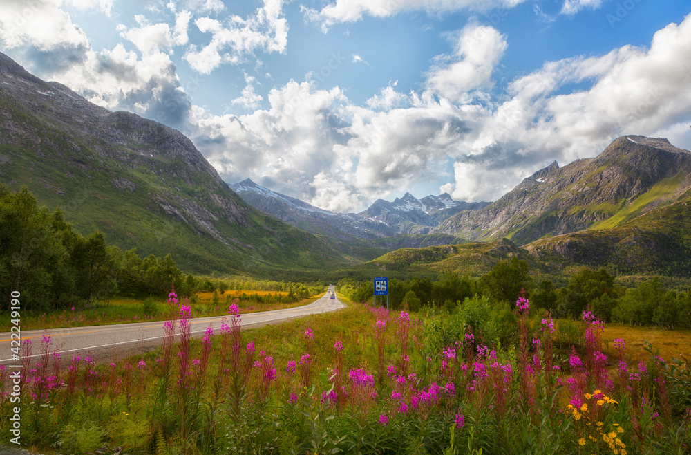 Fototapeta premium Norway. Winding highway along the mountains
