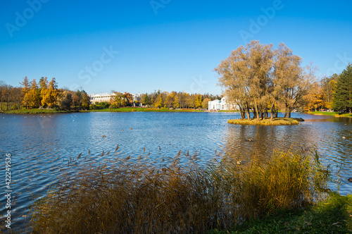 View of city park