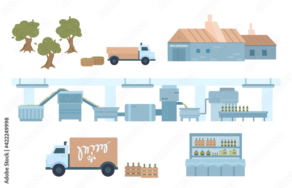 Olive oil production process stages cartoon flat vector illustration ...