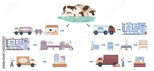Cheese and milk production process on factory with workers and equipment.