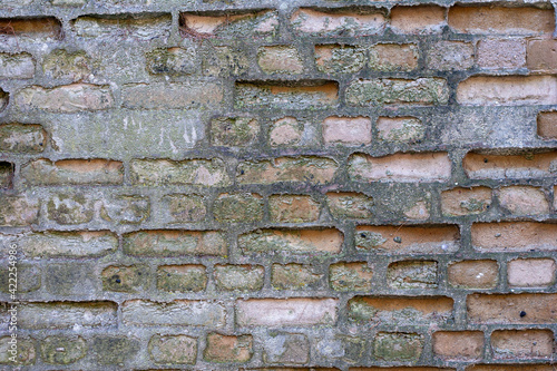brick wall with prominant cement photo
