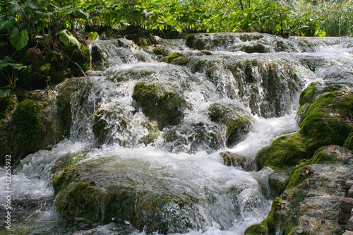 Plitvice Lakes, Croatia, Europe. Ponds and falls in the green vegetation