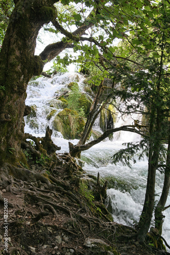 Waterfall, Plitvice Lakes, Croatia, Europe. Ponds and falls in the green vegetation