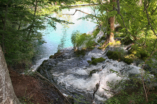 Plitvice Lakes, Croatia, Europe. Ponds and falls in the green vegetation