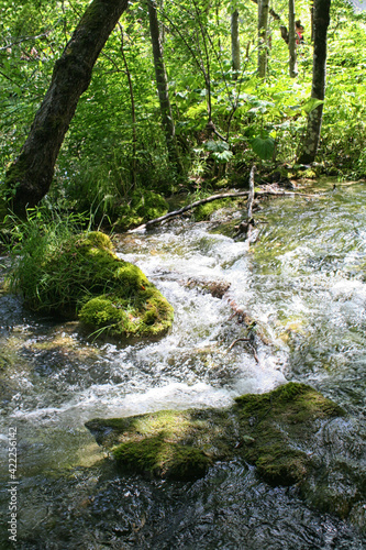 Plitvice Lakes, Croatia, Europe. Ponds and falls in the green vegetation