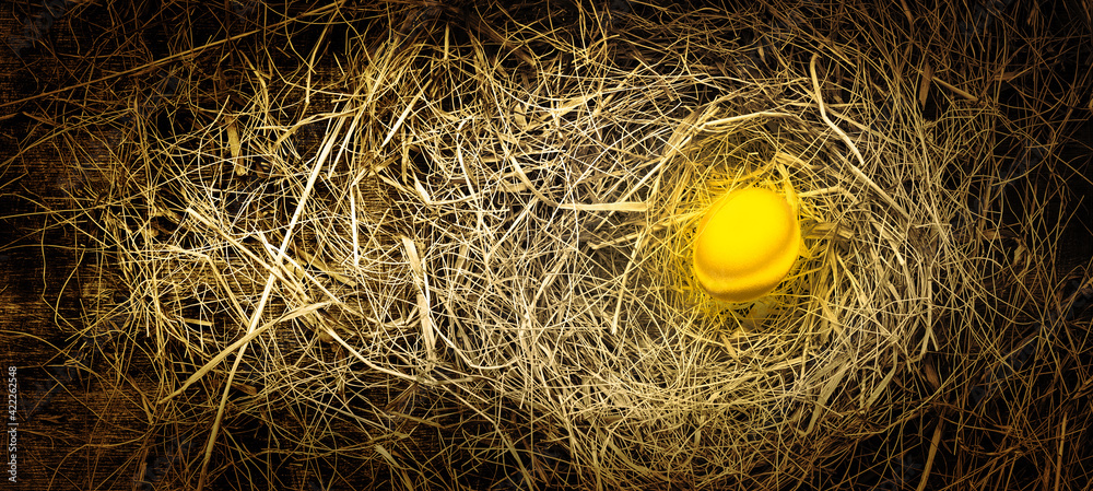 Easter golden chicken egg in a straw nest, rustic style, table, top view, toned antique, copy space left