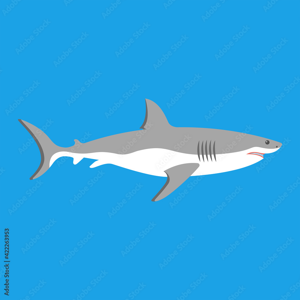Obraz premium Shark icon. Big white shark. Sea dangerous predator. Angry animal. Vector illustration flat design. Isolated on white background.