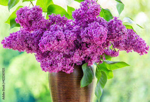  Bouquet purple (Violet) Lilac Flower  in a brown vase. Syringa vulgaris (common lilac). Spring flowers..