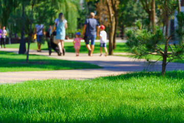 city park on a summer day, green lawns with grass and trees, paths and benches, people walking and children playing, bright sunlight and shadows