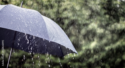 Tableau sur toile Rain on umbrella background, weather forecast and environment concept