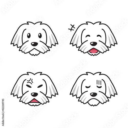 Set of maltese dog faces showing different emotions for design.