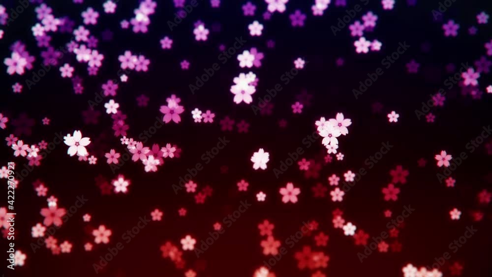 Cherry blossom loop background Cherry blossom loop background