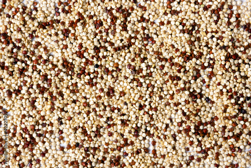 Fototapeta premium Closeup of red, white and brown quinoa mix.