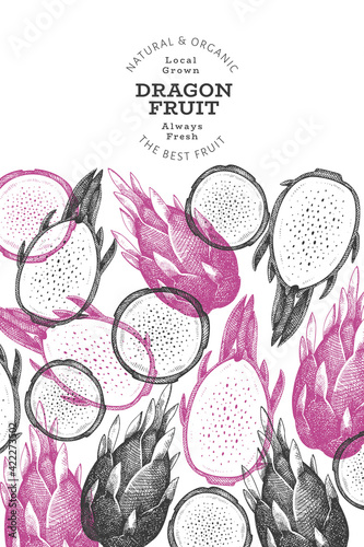 Hand drawn dragon fruit design template. Organic fresh food vector illustration. Retro pitaya fruit banner.