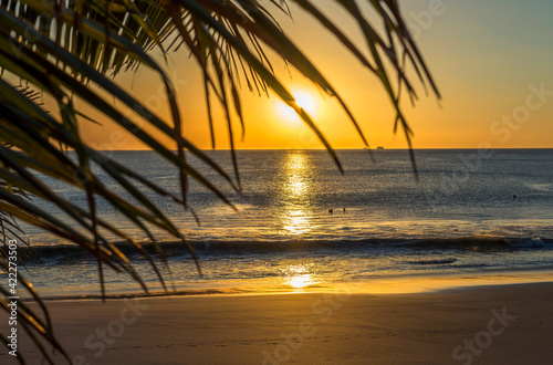 Fototapeta Naklejka Na Ścianę i Meble -  Beautiful sunset tropical beach with palm tree for travel and vacation in holiday relax time. Playa Flamingo in Guanacaste, Costa Rica. Central America.