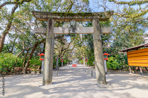 春の筑前國一之宮 住吉神社　福岡県博多区　Sumiyoshi Shrine in 
spring Fukuoka-ken Hakata-ku