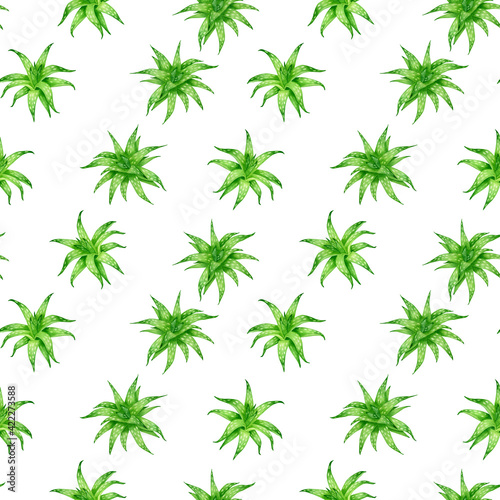 Aloe vera hand drawn watercolor seamless pattern isolated on white background. Fresh aloe green leaves design.