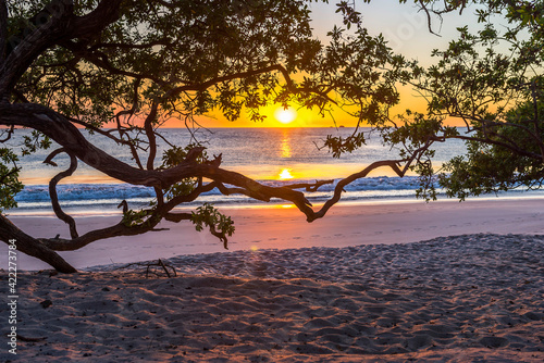 Fototapeta Naklejka Na Ścianę i Meble -  Beautiful sunset tropical beach with silhouette of trees for travel and vacation in holiday relax time. Playa Flamingo in Guanacaste, Costa Rica. Central America..