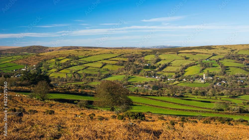 Fields and meadows in Haytor Rocks, Dartmoor Park, Widecombe in the Moor, Devon, England, Europe