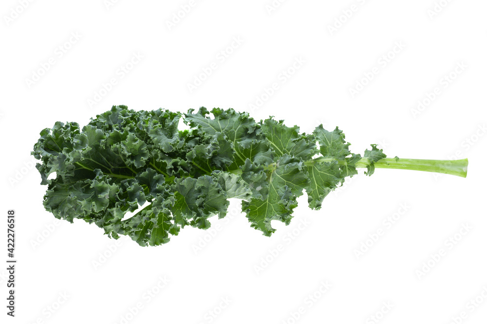 Fresh green leaves of Kale. Green vegetable leaves isolated on a white background. Fresh green leaves of Kale. Green vegetable leaves isolated on a white background.