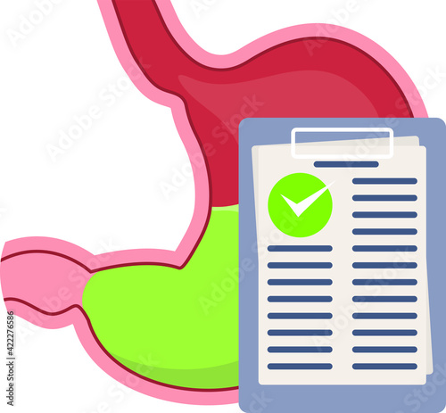 Examination of the stomach. Stomach health or disease. Doctor's conclusion.