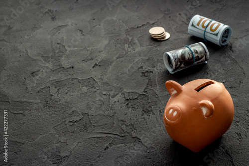 Investment concept. Piggy bank with money, close up
