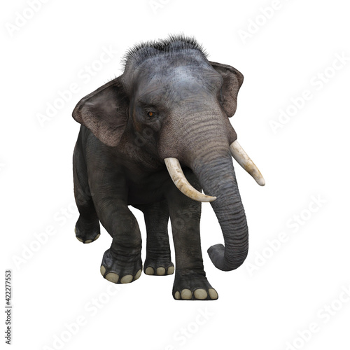 Indian elephant running towards the camera. 3D illustration.