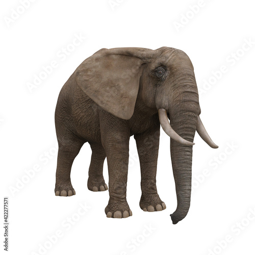 African elephant standing still. 3D illustration.