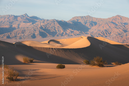 Fototapeta Naklejka Na Ścianę i Meble -  Dramatic light and shadow over desert landscape of the golden Mesquite flat sand dunes against the rugged badlands terrain in Death Valley National Park, USA.
