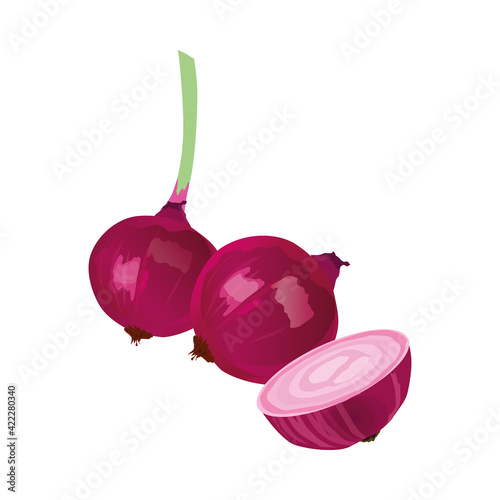 red onion, vector illustration, white background 