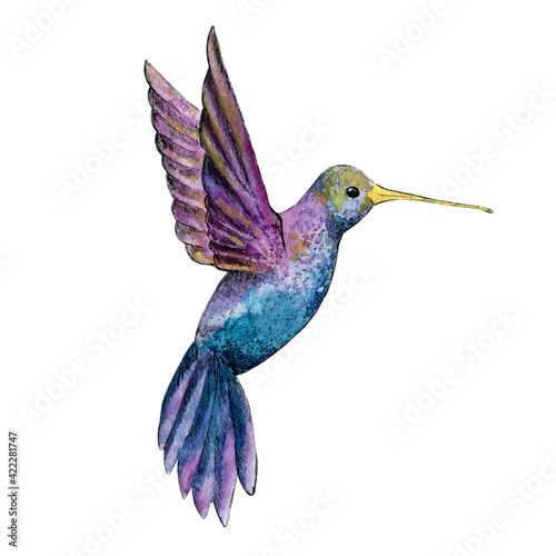 Sketch drawing of a watercolor hummingbird on a white background. Illustration size 3000x3000 px