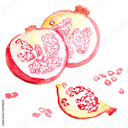 watercolor painted pomegranate. cut into halves pomegranate pulp is visible