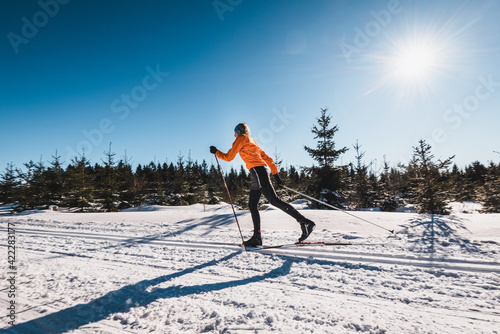 Bild auf Leinwand Skilanglauf in der Wintersonne in der Skiloipe