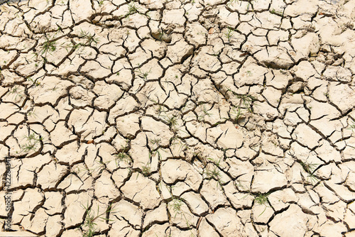 Global warming concept, Cracked soil arid land with dry and cracked ground desert texture background