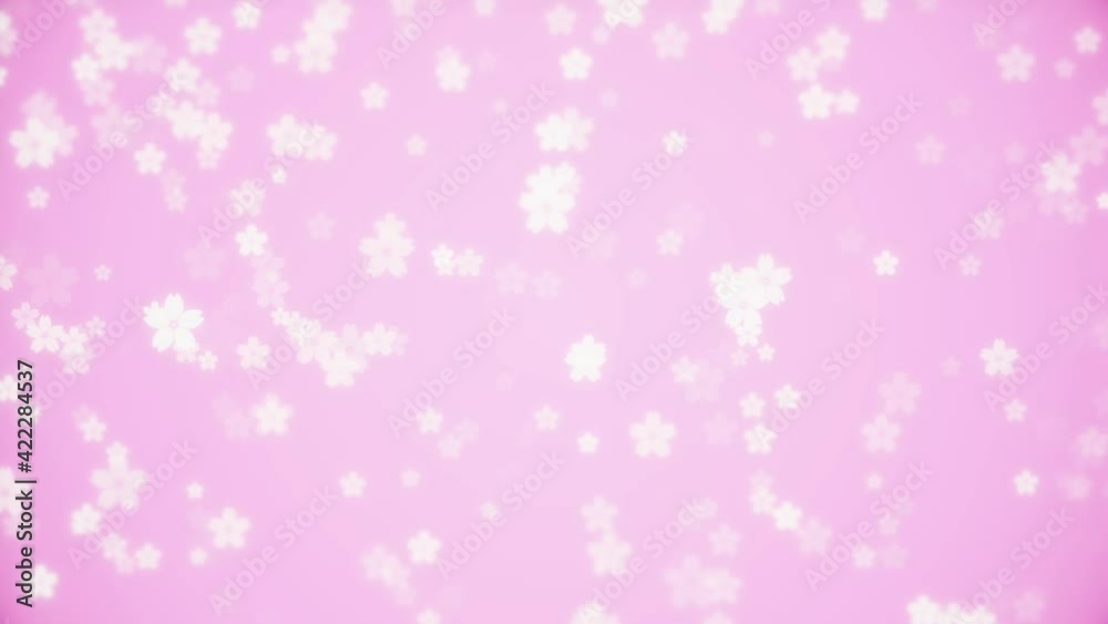 Cherry blossom loop background Cherry blossom loop background