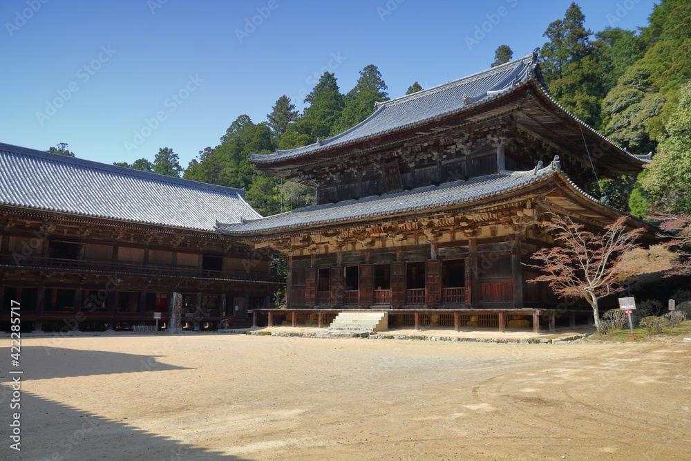 Fototapeta premium Himeji, Japan - Mt Shosha