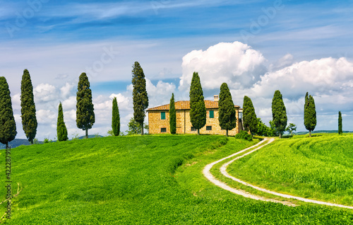 Idyllic view in Tuscany
